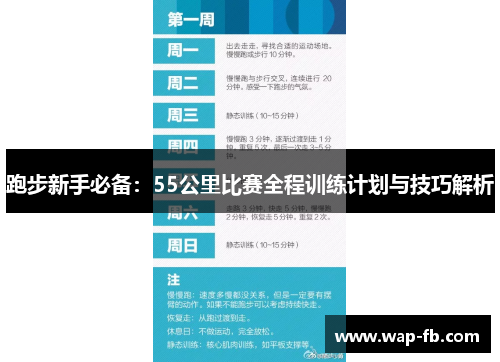 跑步新手必备：55公里比赛全程训练计划与技巧解析